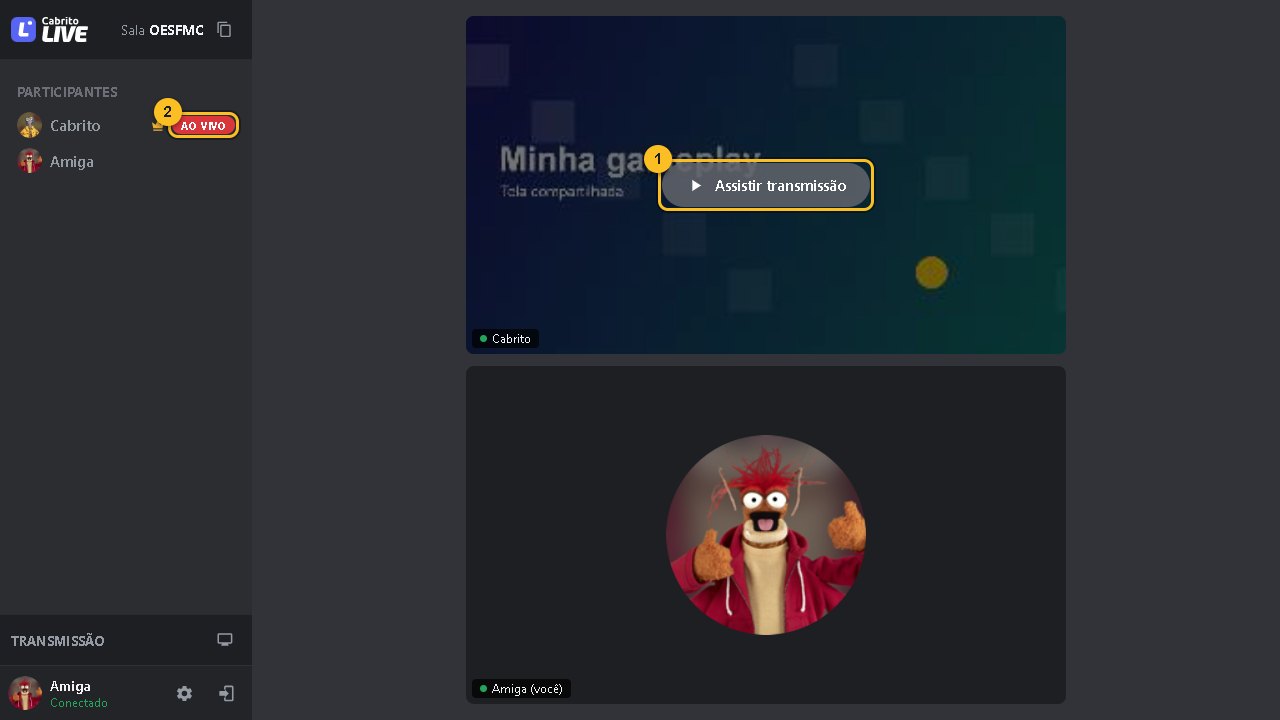 Bloco de um participante com o botão Assistir transmissão